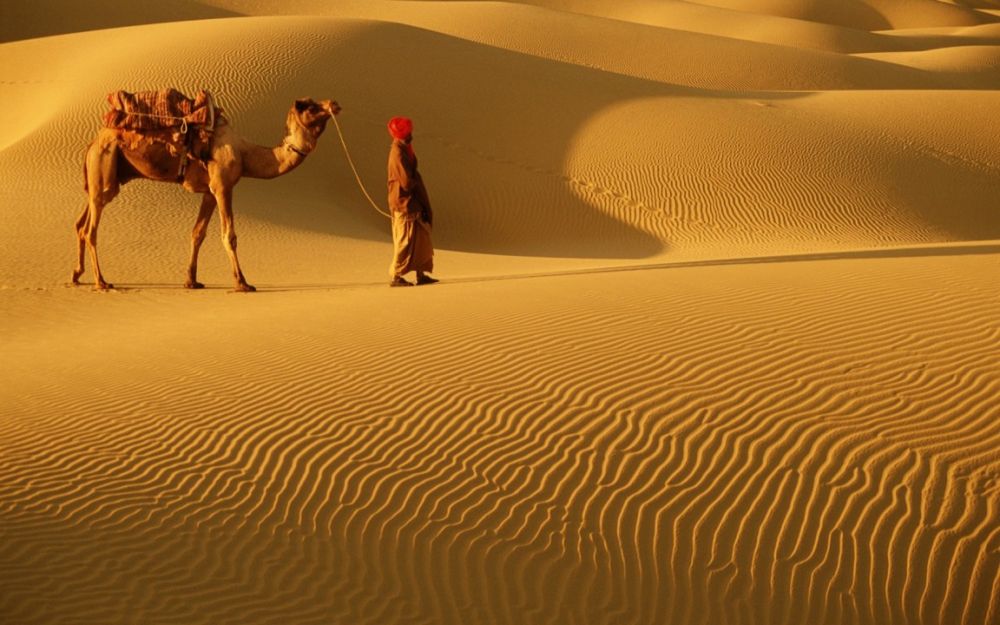 desert and fort tour